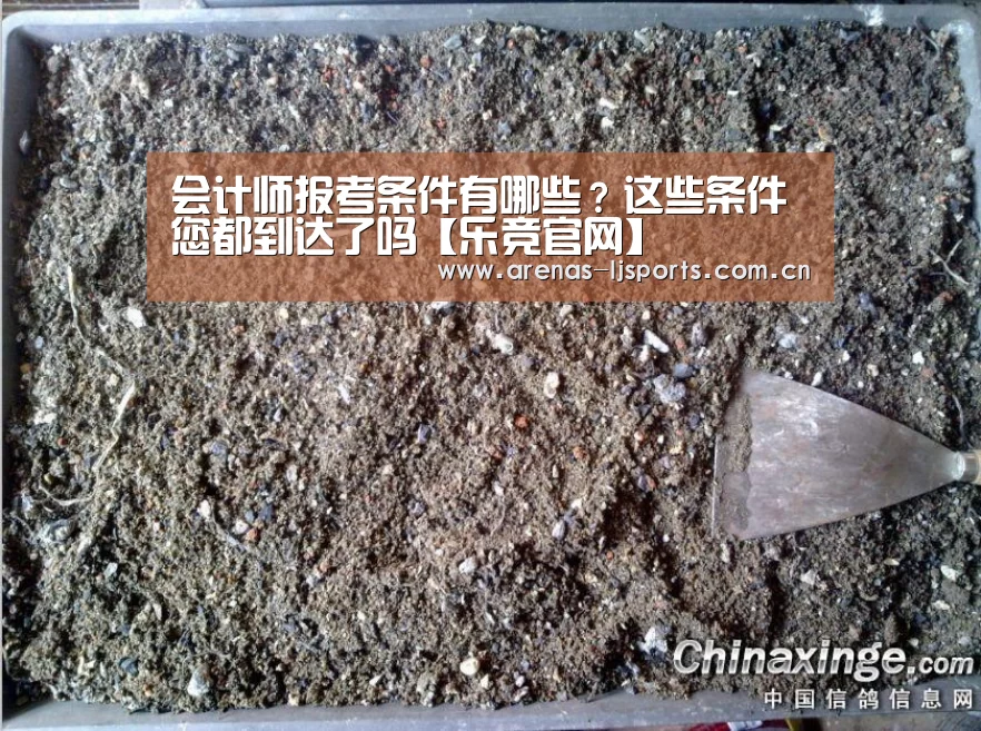 
会计师报考条件有哪些？这些条件您都到达了吗【乐竞官网】(图1)