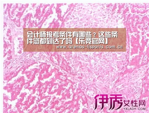 乐竞首页