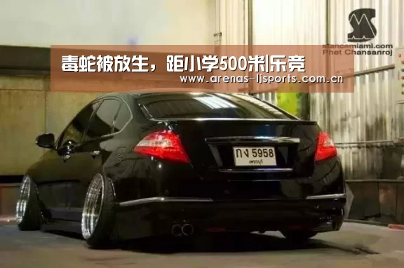乐竞运动