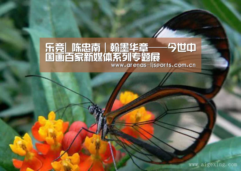 乐竞俱乐部