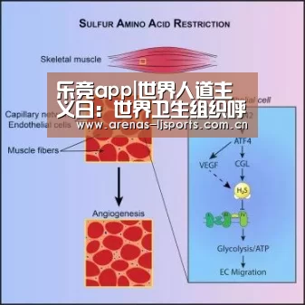 乐竞俱乐部